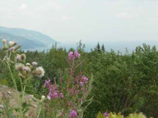 tadoussac 007.jpg